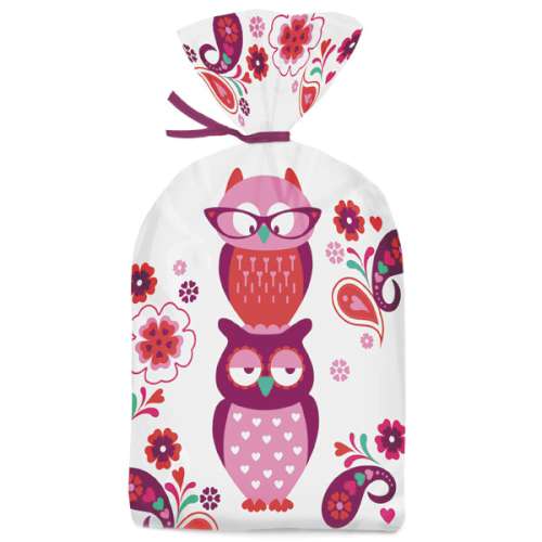 Valentines Owl Treat Bags - Click Image to Close